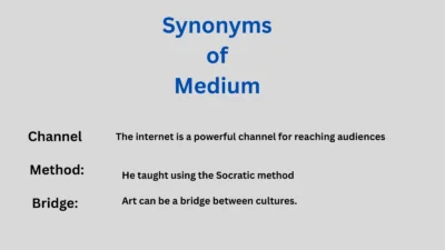 Synonyms of Medium in text