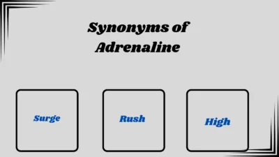 Synonyms of Adrenaline
