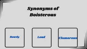 Synonyms of Boisterous