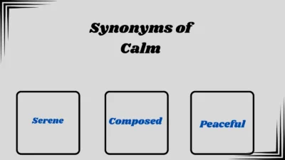 Synonyms of Calm