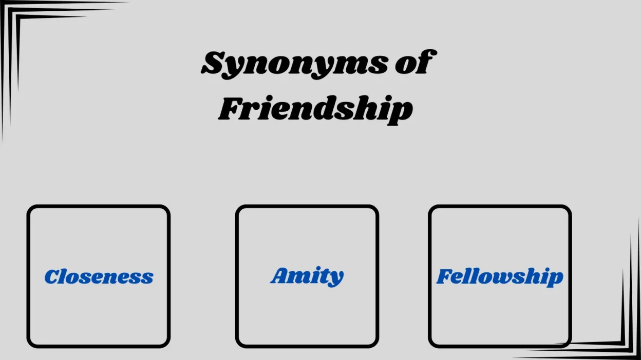 Synonyms of Friendship