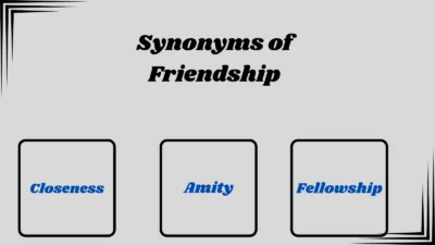 Synonyms of Friendship