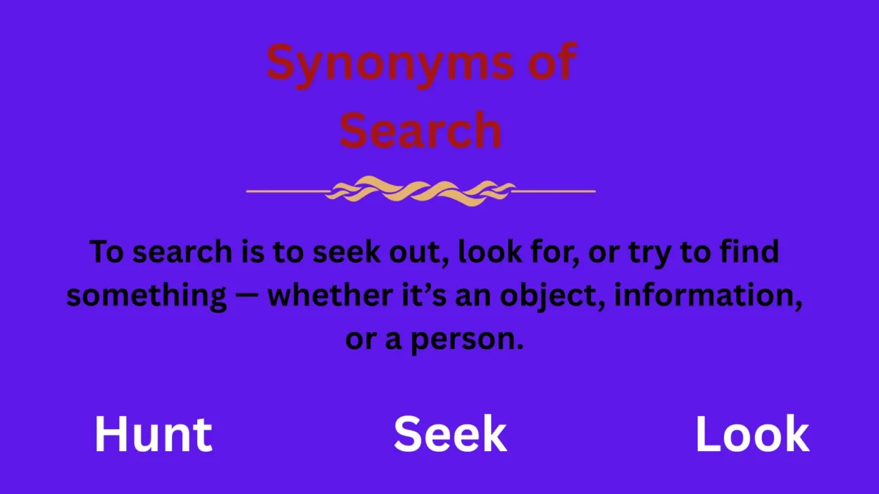 Synonyms of Search