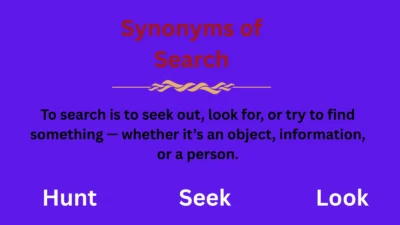 Synonyms of Search