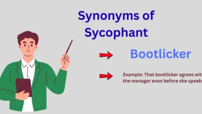 Synonyms of Sycophant