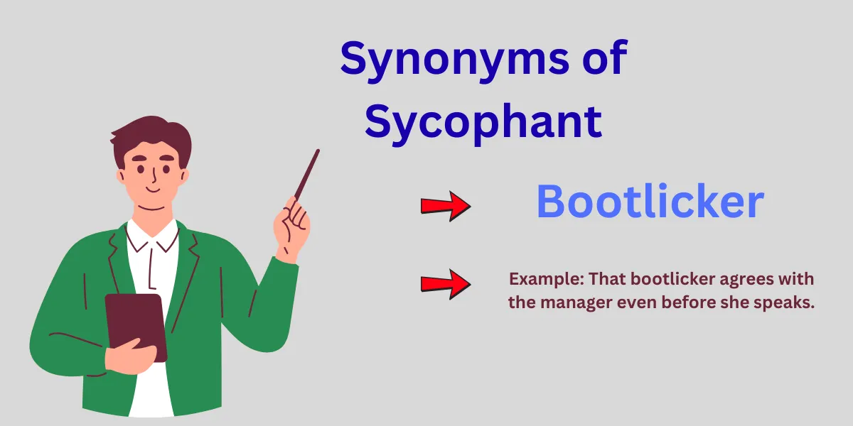 Synonyms of Sycophant