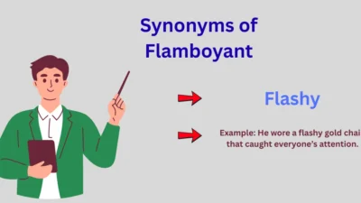 Synonyms of Flamboyant Explained
