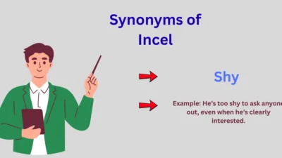 Synonyms of Incel Explained