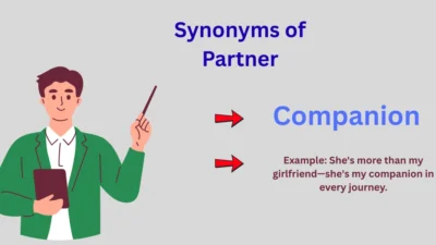 Synonyms of Partner Explained