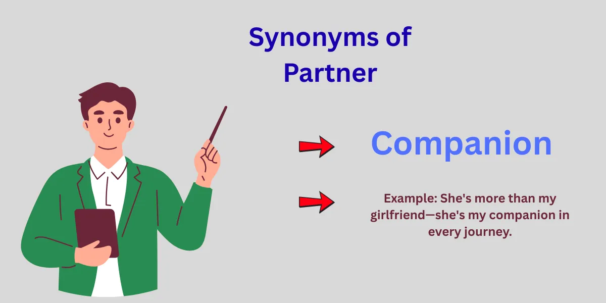 Synonyms of Partner Explained