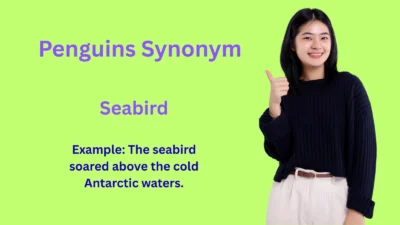 Penguins Synonym Explained