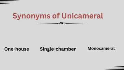 Synonyms of Unicameral Explained