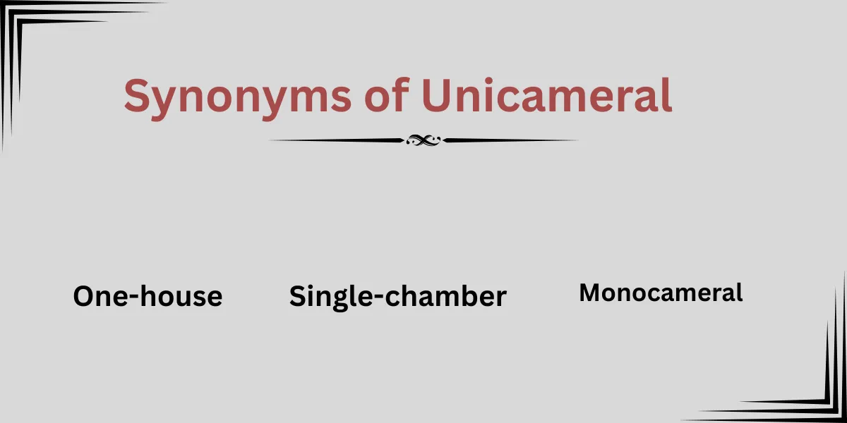 Synonyms of Unicameral Explained