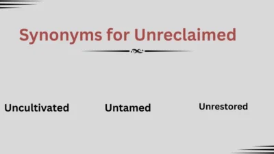 Synonyms for Unreclaimed Explained