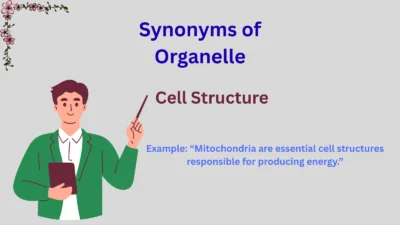 Synonyms of Organelle