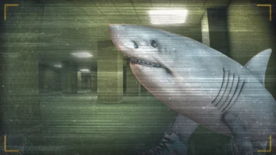 What Does Tralalero Tralala Mean