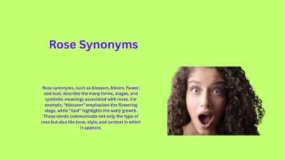 Rose Synonyms That Capture Beauty and Symbolism